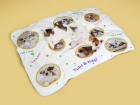 Arctic Fleece Lined Sublimation Blanks Microfiber Pet Blanket (101*127cm/39.76